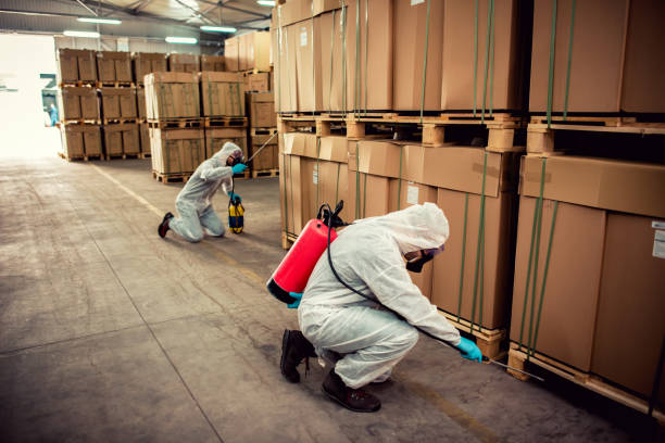Best Cockroach Control Services  in Lake St Louis, MO