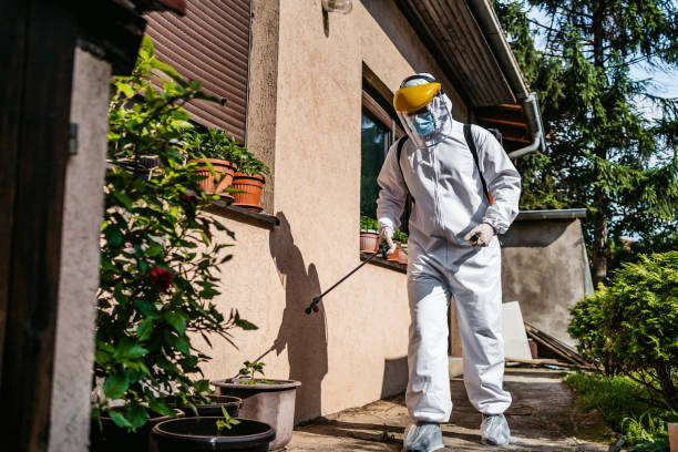 Best Pest Inspection Near Me  in Lake St Louis, MO