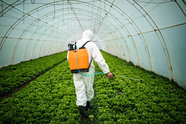Best Mosquito Control Services  in Lake St Louis, MO