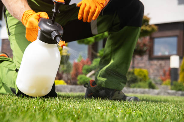 Best Insect Control  in Lake St Louis, MO