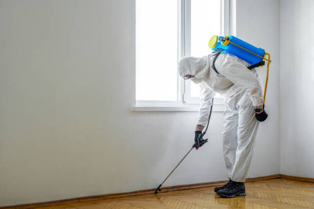 Best Pest Removal Services  in Lake St Louis, MO