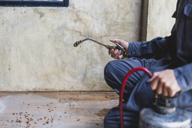 Best Pest Prevention Services  in Lake St Louis, MO
